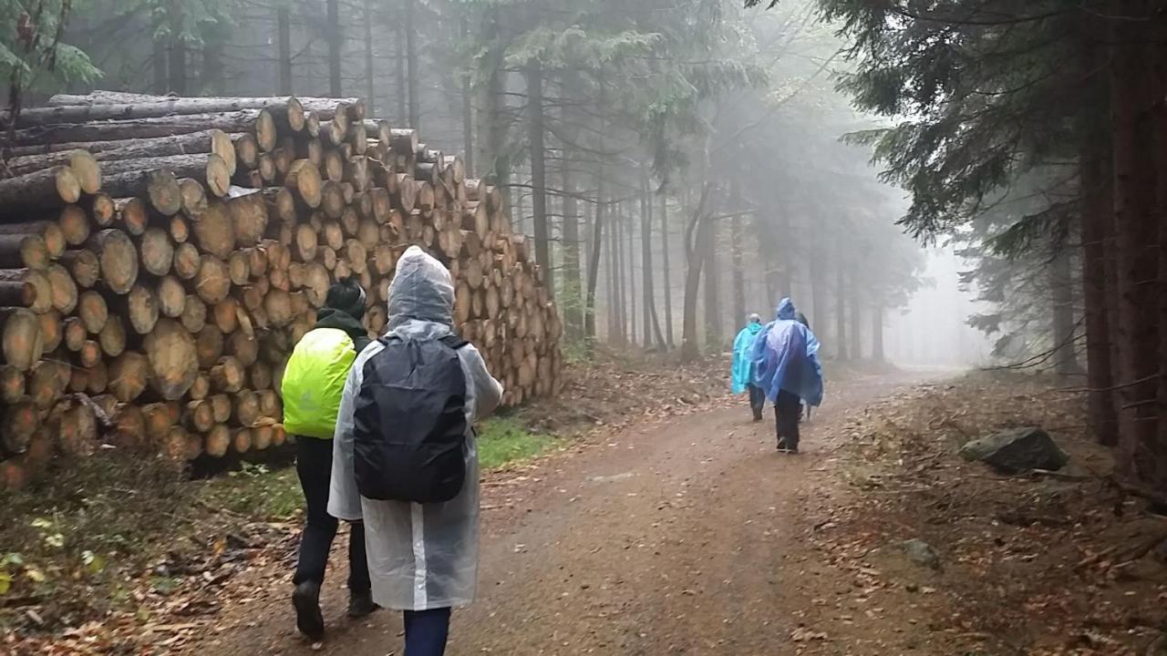 Urlaubsdomizil Am Toepfer - Ferienwohnungen In Olbersdorf Extérieur photo