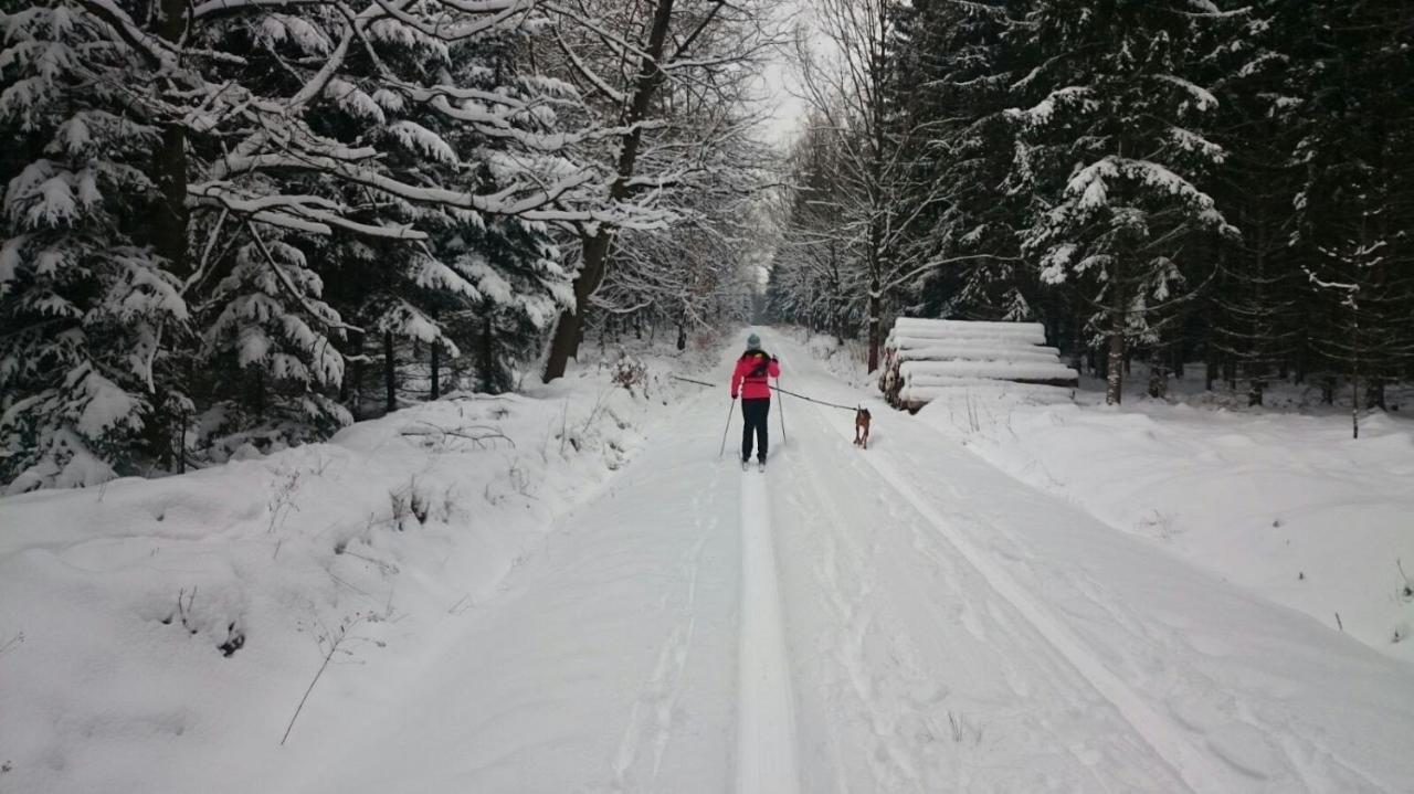 Urlaubsdomizil Am Toepfer - Ferienwohnungen In Olbersdorf Extérieur photo