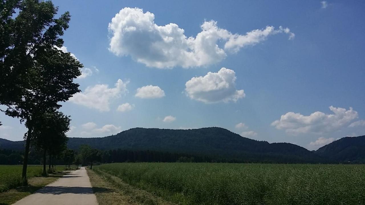 Urlaubsdomizil Am Toepfer - Ferienwohnungen In Olbersdorf Extérieur photo