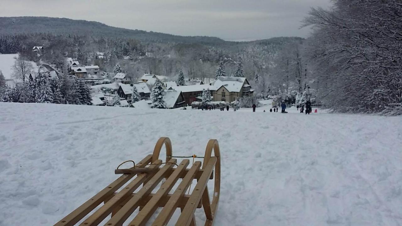 Urlaubsdomizil Am Toepfer - Ferienwohnungen In Olbersdorf Extérieur photo