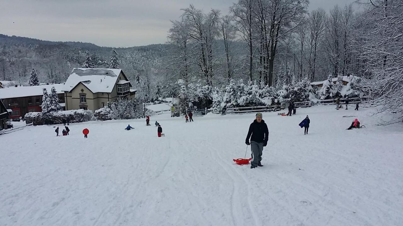 Urlaubsdomizil Am Toepfer - Ferienwohnungen In Olbersdorf Extérieur photo