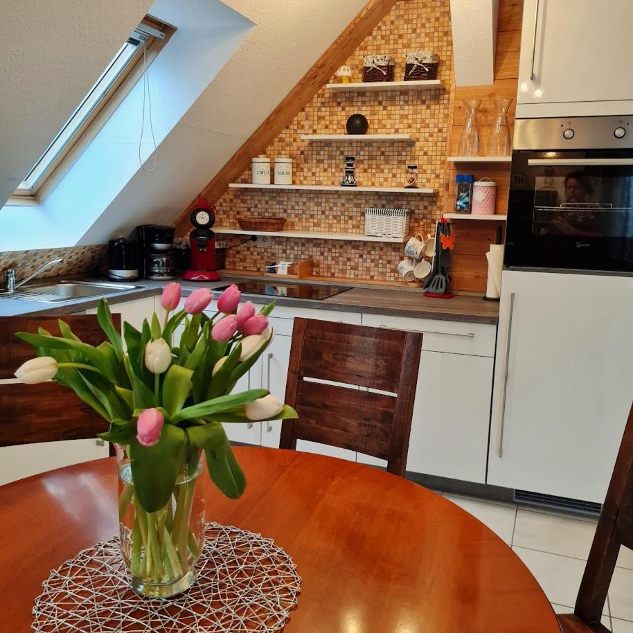 Urlaubsdomizil Am Toepfer - Ferienwohnungen In Olbersdorf Extérieur photo
